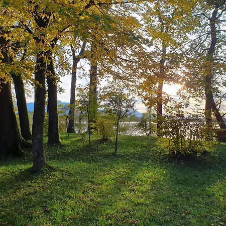 Chiemseenaehe